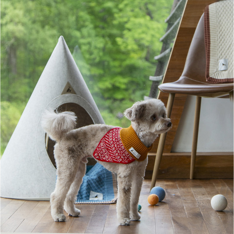 Nooee pet tent best sale